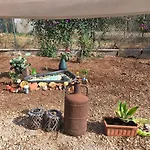 אוהל מפואר Sunshineglamping2024