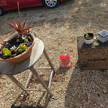 Sunshineglamping2024 אלקנטרילה