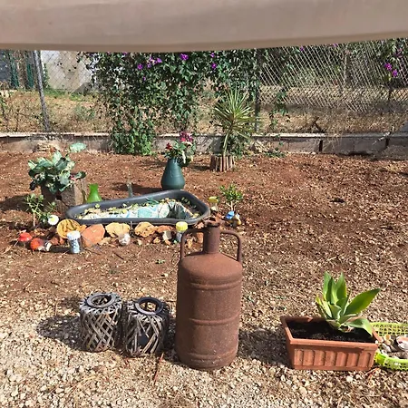 אוהל מפואר Sunshineglamping2024