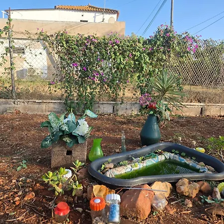 Sunshineglamping2024 *